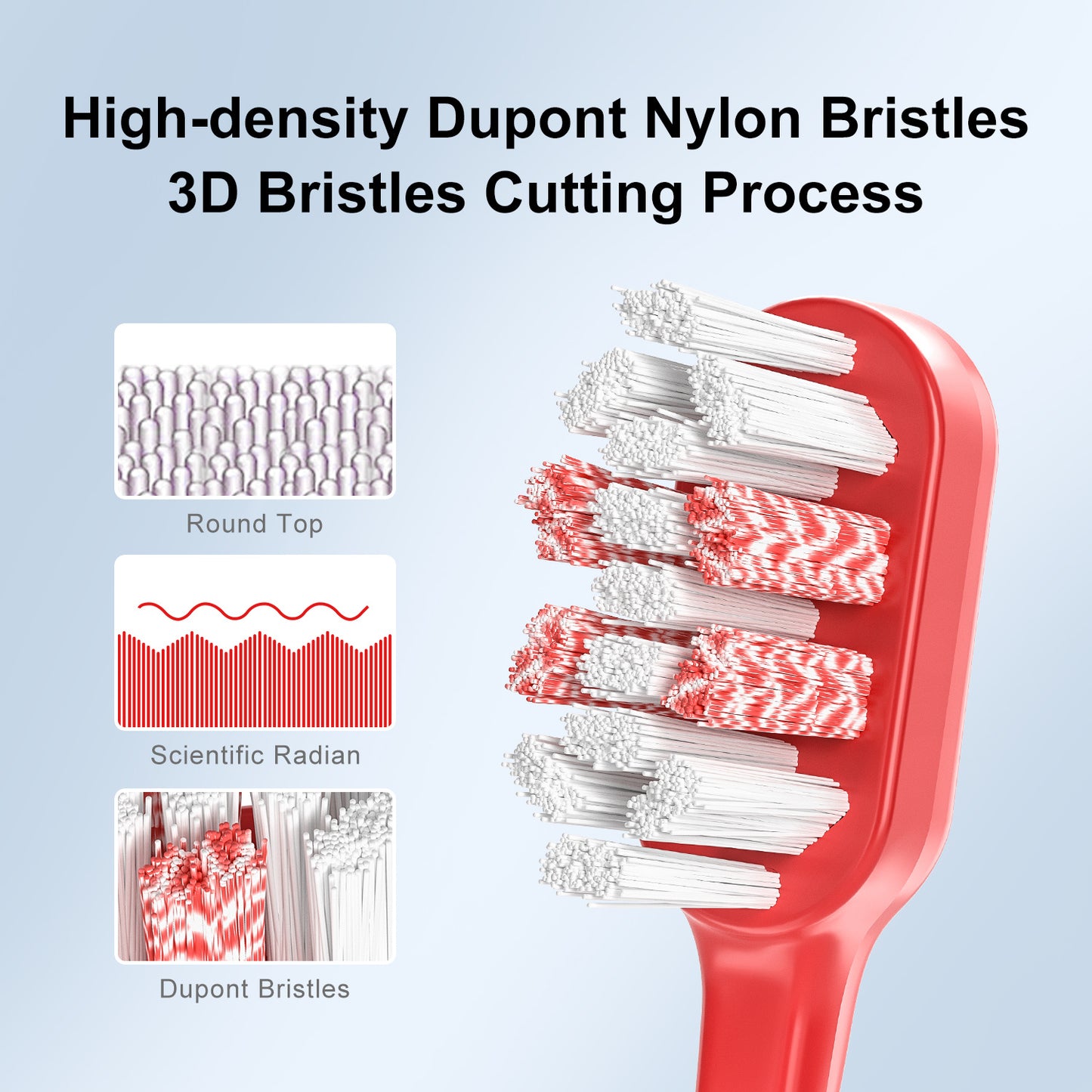 Brosses a Dents Électrique