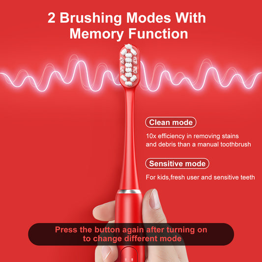 Brosses a Dents Électrique